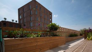 LPL Construction Royal Free Hospital ICU Roof Gardens