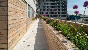 LPL Construction Royal Free Hospital ICU Roof Gardens