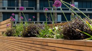 LPL Construction Royal Free Hospital ICU Roof Gardens