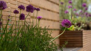 LPL Construction Royal Free Hospital ICU Roof Gardens